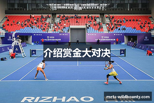 介绍赏金大对决